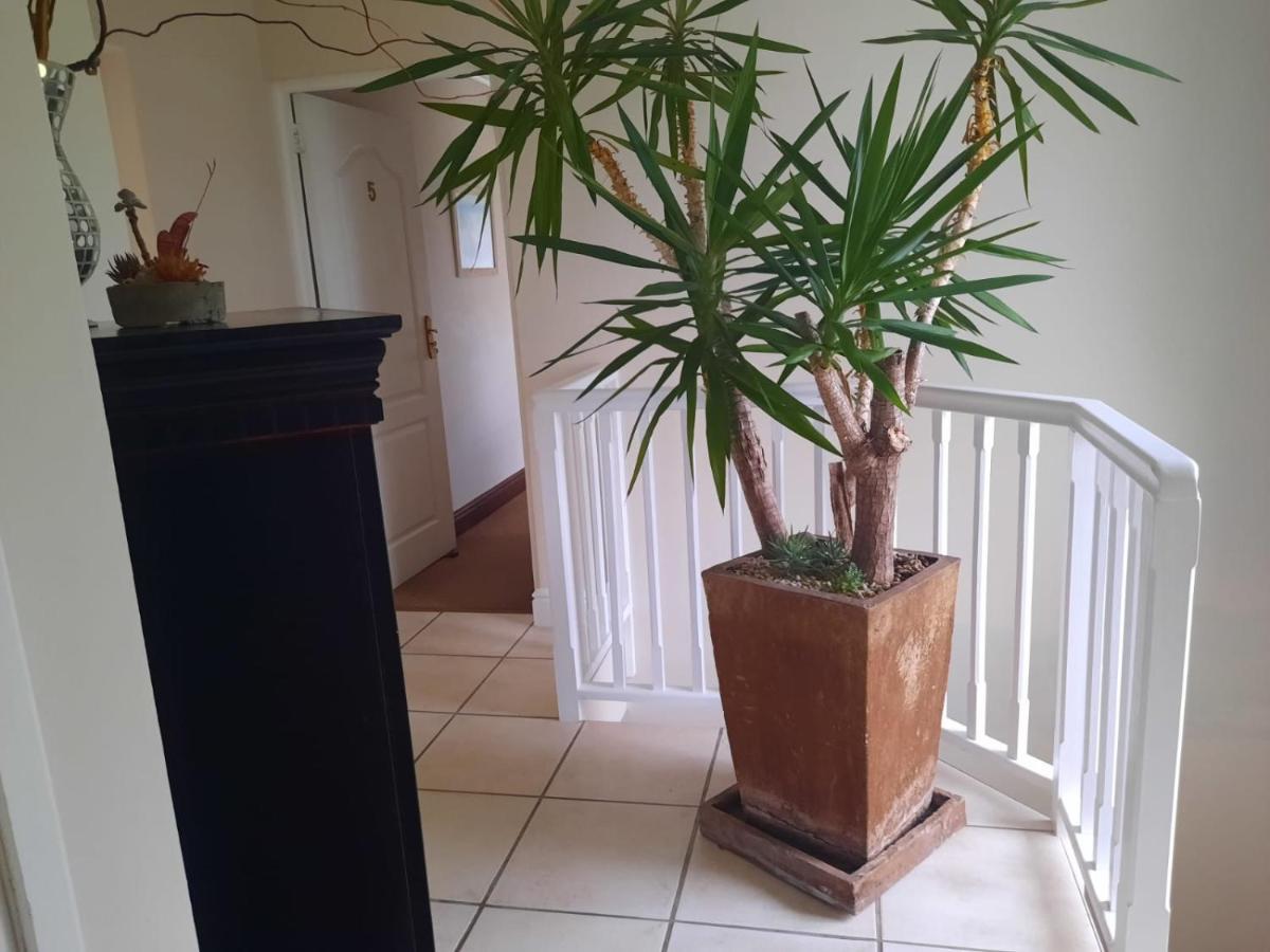 6 On Protea Panzió Knysna Kültér fotó