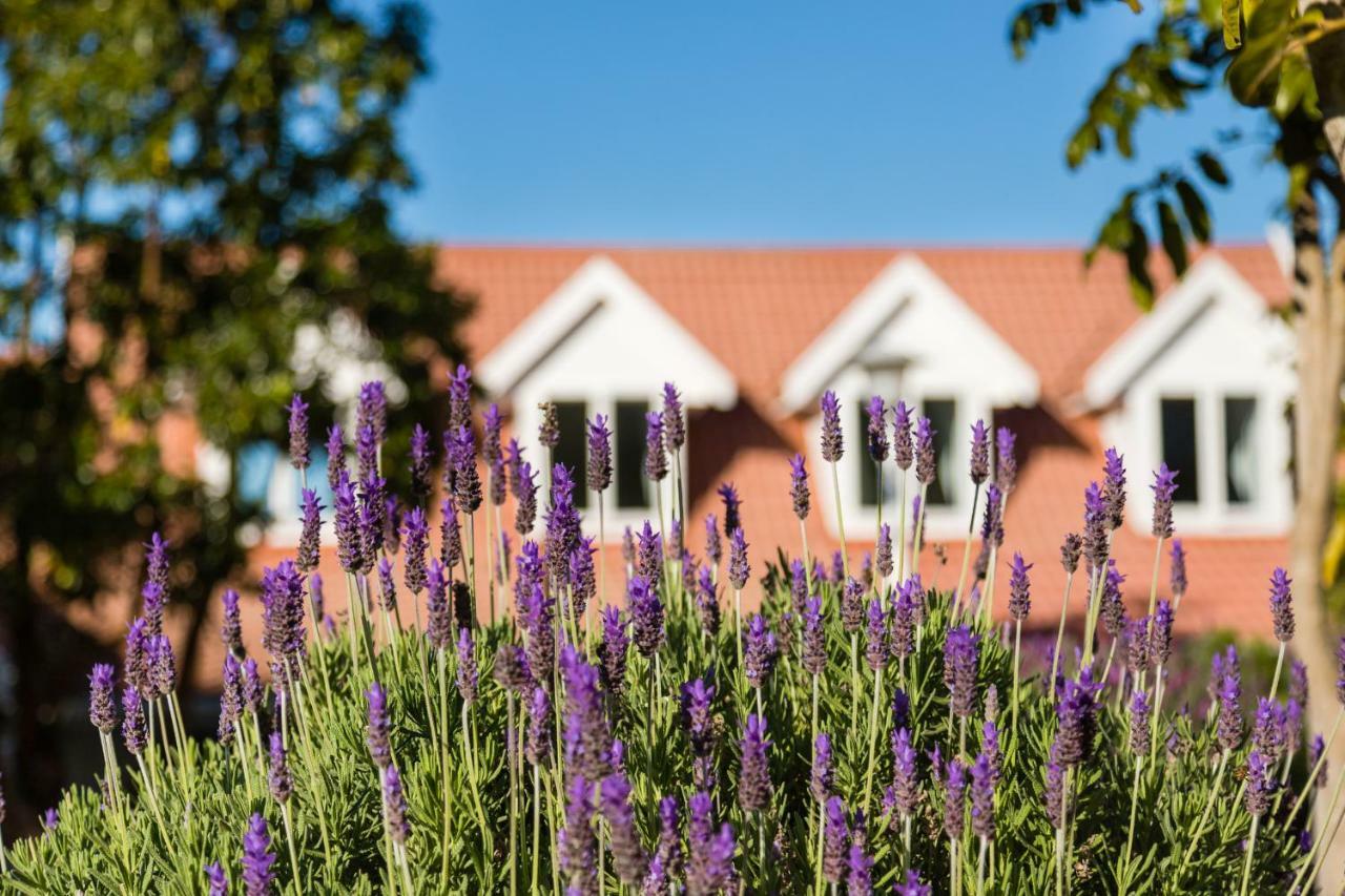 6 On Protea Panzió Knysna Kültér fotó